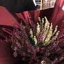 ������ - �� �������� �������� �� ������� ������ � ��� ����