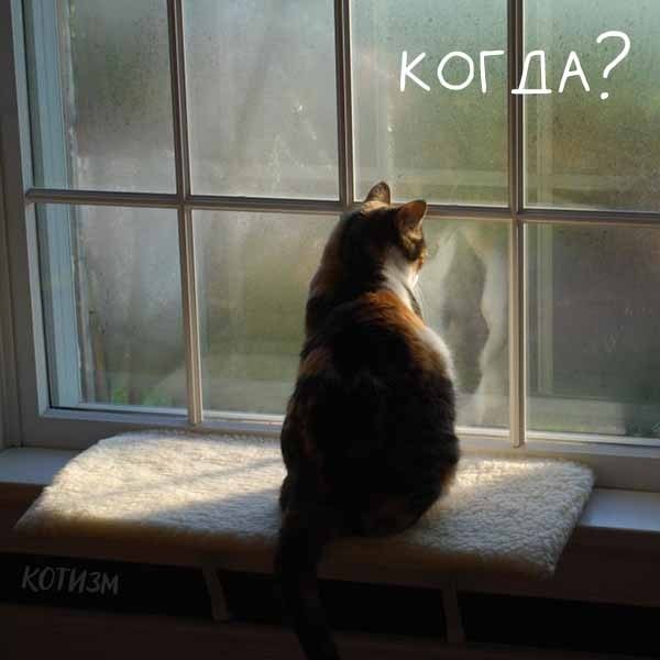   ,    ,  ,         ... - 3