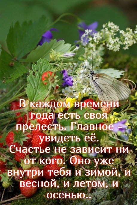   ,    . - 15  2020  21:13