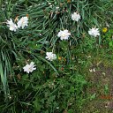 ���� ��������, Kouvola, 78 ��� - ��������� 10 ���� 2020 � ������ ������