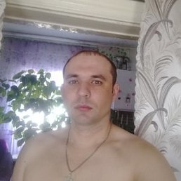 ������, �������, 41 ���