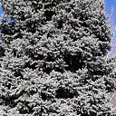 ���� �������, ��������� - ��������� 18 ����� 2020 � ������ ������������ � ��������