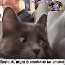 ���� ����, ���� - ��������� 19 ������ 2020