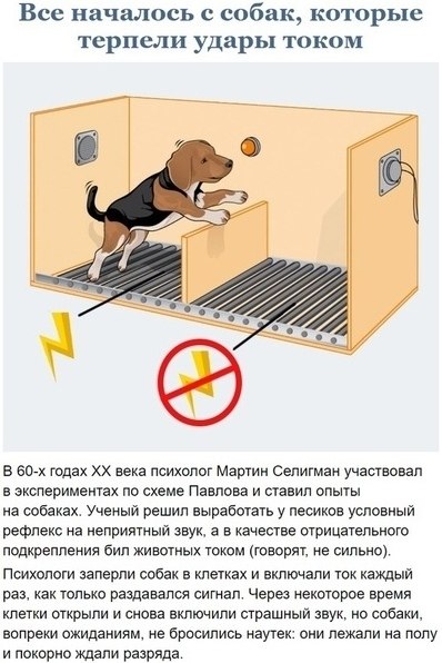 Выученная беспомощность и как с ней бороться. ... - ЭГО | Психология ...