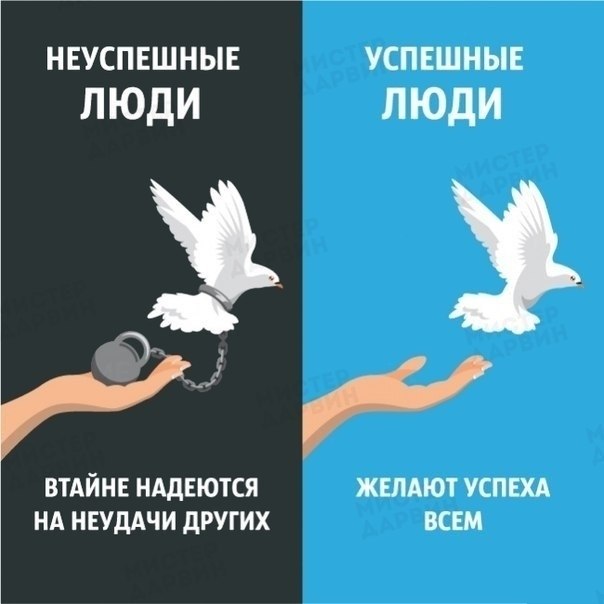      ,    - 5