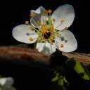 ���� �������, ������, 48 ��� - ��������� 9 ��� 2020 � ������ ������ ��������