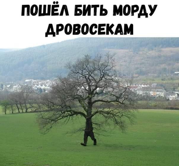   ! - 9  2020  12:55