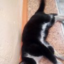  , -, 29  -  24  2020