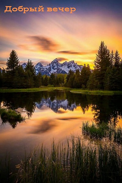   ,    . - 14  2020  19:35