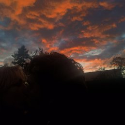 �����, ������, 29 ���