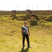 �����, , ���������