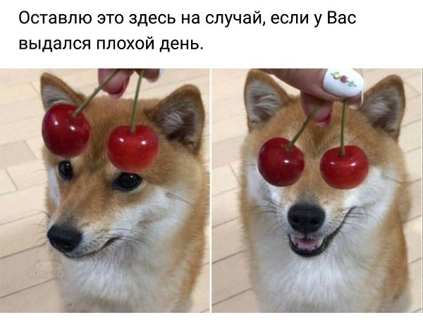 ������� - 20 ������ 2020 � 18:27
