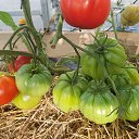 ���� ������, �����-��������� - ��������� 30 ������ 2020 � ������ ���� ����������