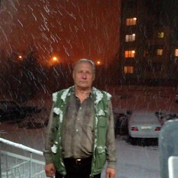 ������, �������, 81 ���