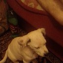 ���� ((�������)), ������, 41 ��� - ��������� 12 ������ 2020 � ������ ���� ����������