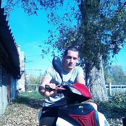 �������, �������, 39 ���