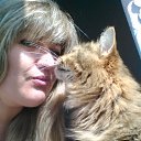 ���� ������, ��������, 54 ���� - ��������� 27 ��� 2020 � ������ ���� ����������