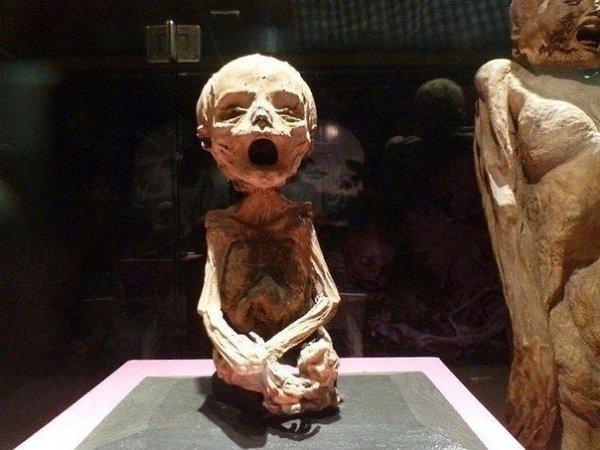 Этот музей в Мексике...а я думал мумифицировали только в Египте.