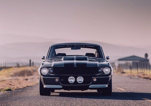 1967 Ford MV500 Mustang - 8