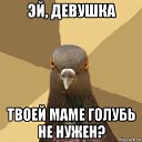 ���� ��� � �����, �������� - ��������� 1 ���� 2020 � ������ ������ ��������