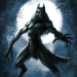 ���� ������, �������, 51 ��� - ��������� 23 ������� 2020