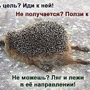 ���� �������, ����, 54 ���� - ��������� 19 ���� 2020 � ������ ������ ��������