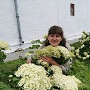  , -, 52  -  12  2020    