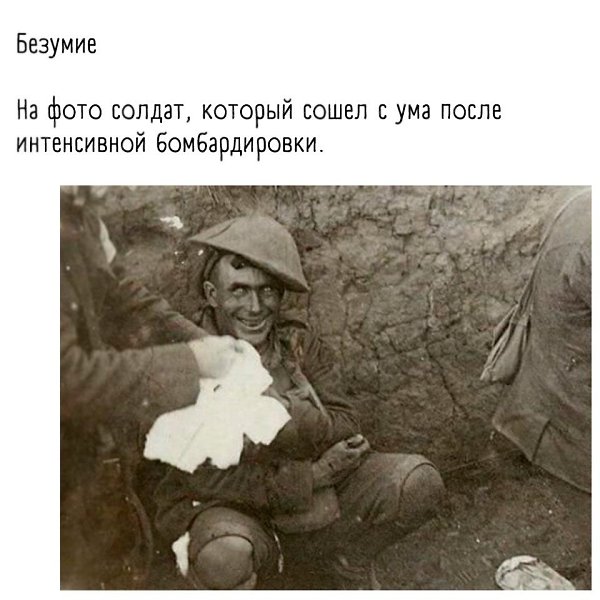   ,   ,   .. - 4
