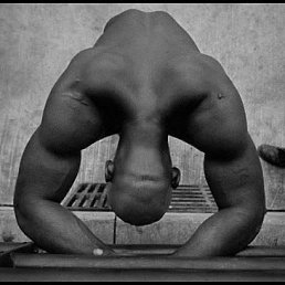 �����, ������ ��������, 39 ���