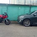 ���� �������, ������, 41 ��� - ��������� 22 ������ 2020 � ������ ���� ����������