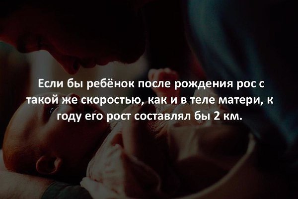 ������� - 29 ������� 2020 � 19:17