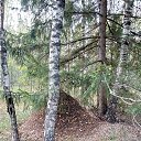 ���� ���������, �������, 67 ��� - ��������� 30 ����� 2020 � ������ ���� ����������
