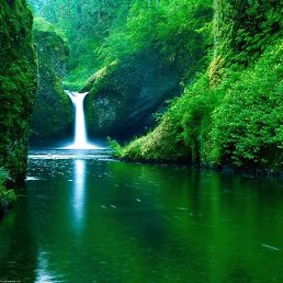 ���� ������, ������ ��������, 31 ��� - ��������� 23 ��� 2020