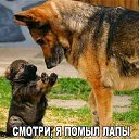 ���� ������, ������, 56 ��� - ��������� 28 ����� 2020 � ������ ���� ����������