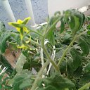 ���� ����, �������, 49 ��� - ��������� 18 ������ 2020 � ������ ��������� ��������