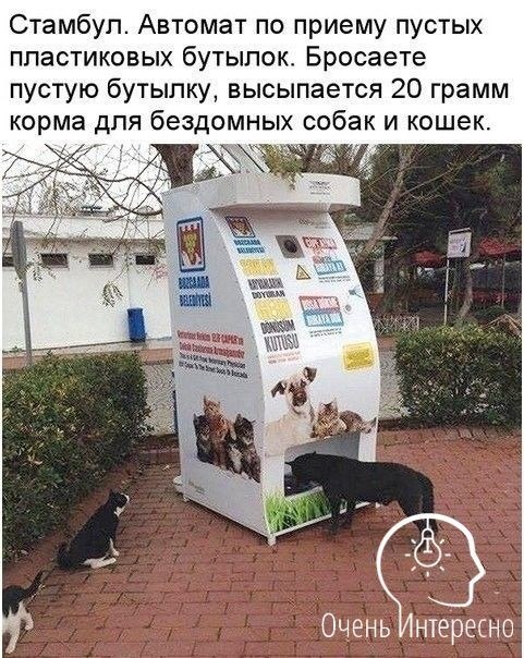   - 25  2020  22:56