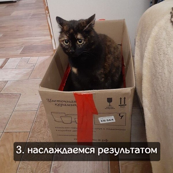         - 3
