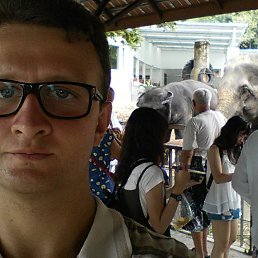 ���� ������, �����, 43 ���� - ��������� 8 ����� 2020