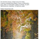 ���� Lara, ������� - ��������� 30 ������ 2020 � ������ �������