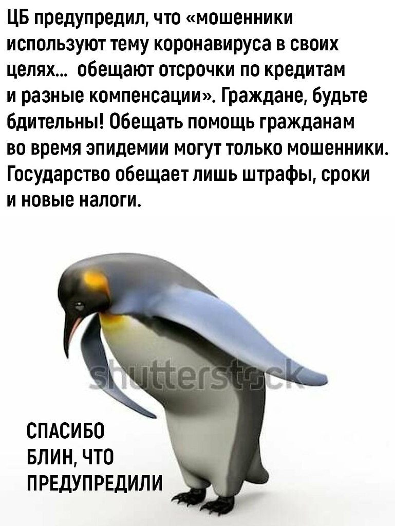 Пингвин кланяется мем