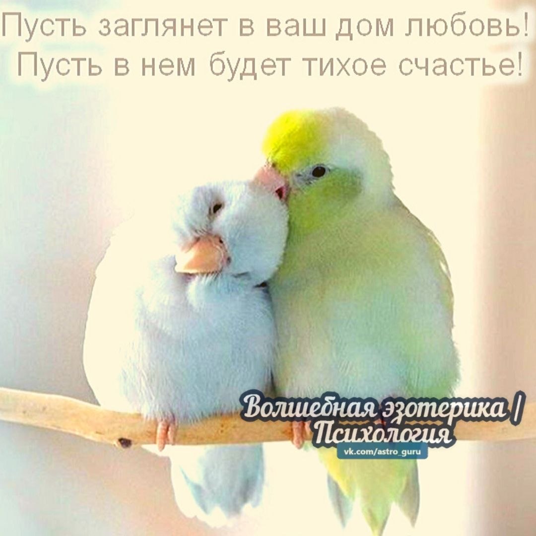  - 1  2020  19:09