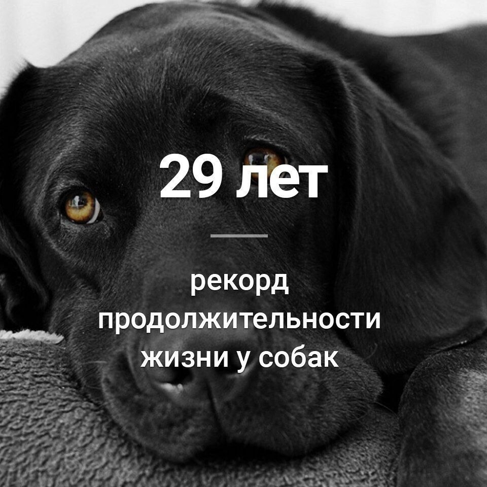 ������� - 26 ������ 2020 � 18:27