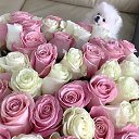 ���� ������, ����������, 53 ���� - ��������� 31 ����� 2020 � ������ ���� ����������