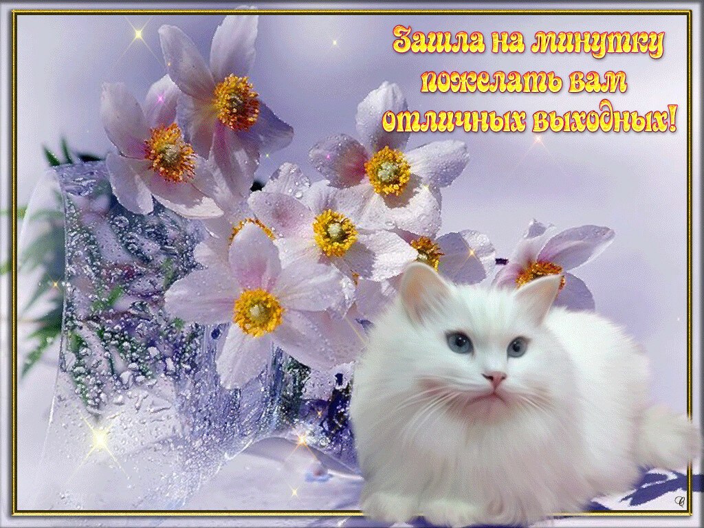 ПРИВЕТСТВИЯ и ПОЖЕЛАНИЯ, открытки на каждый день. - 14 февраля 2020 в 20:38