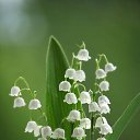 ���� Severnaya, ������ �������� - ��������� 4 ��� 2020 � ������ ������ ��������