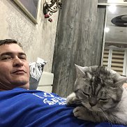 �������, 43 ����, ���������� �����