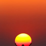 ������, , ������