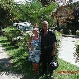 ���������, ����������, 66 ���