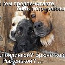 ���� ����***, ������ - ��������� 11 ������� 2020 � ������ ������� �����)�