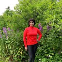 ���� ��������, �����-���������, 56 ��� - ��������� 4 ���� 2020 � ������ ���� ����������